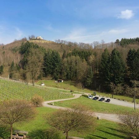 Wein Lodge Durbach - Schlossblick 外观 照片