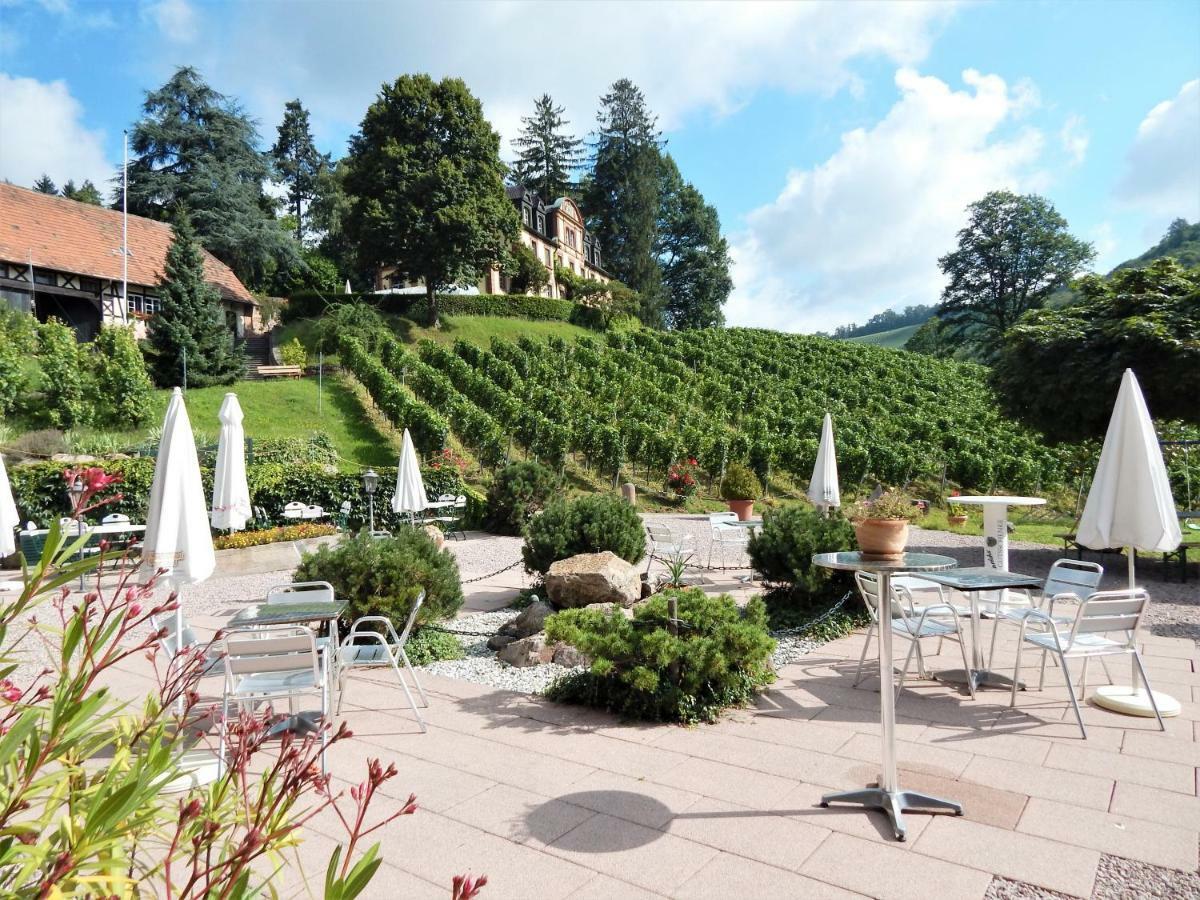 Wein Lodge Durbach - Schlossblick 外观 照片